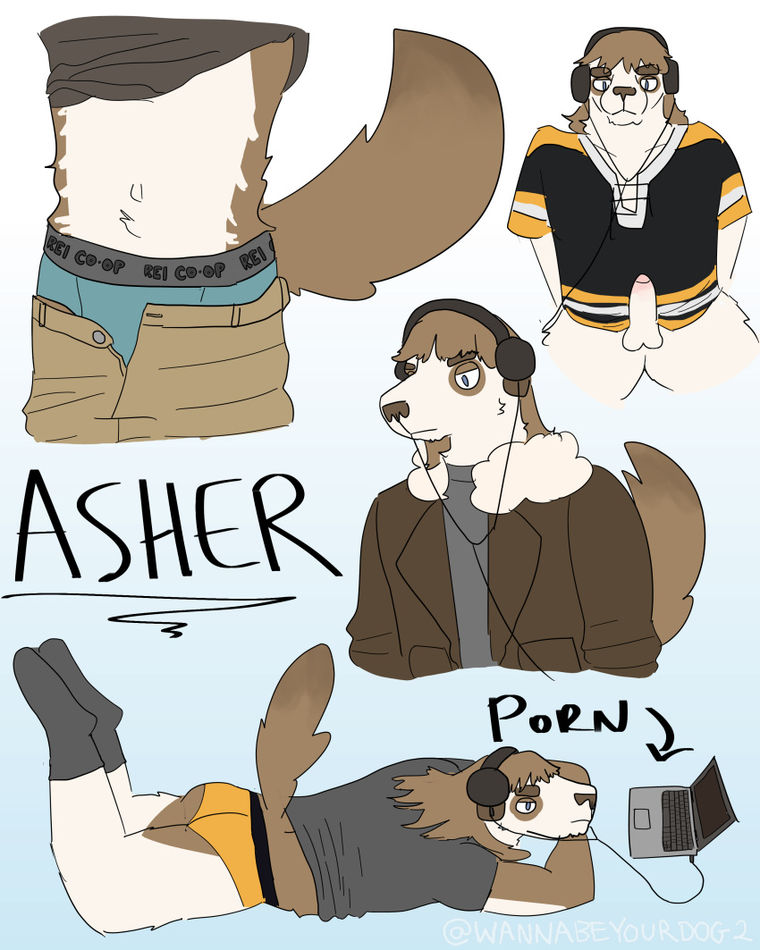 absurd_res anthro asher_(wannabeyourdog2) average_penis balls bangs blue_briefs blue_clothing blue_underwear bottomless bottomwear bottomwear_down briefs brown_hair canid canine canis clothed clothing clothing_lift computer domestic_dog electronics erection footwear fur genitals hair headphones hi_res hockey_jersey humanoid_genitalia humanoid_penis jacket laptop looking_at_porn male mammal midriff multiple_images pants pants_down partially_clothed penis pornography shirt shirt_lift simple_background socks solo t-shirt tail topwear topwear_only underwear undressing wannabeyourdog2 yellow_briefs yellow_clothing yellow_underwear