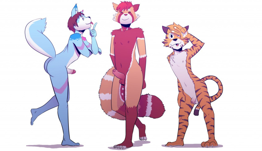 anthro balls canine erection feline fox kojiyoung male mammal penis red_panda shizumi_aoki tiger tolok wavemaster