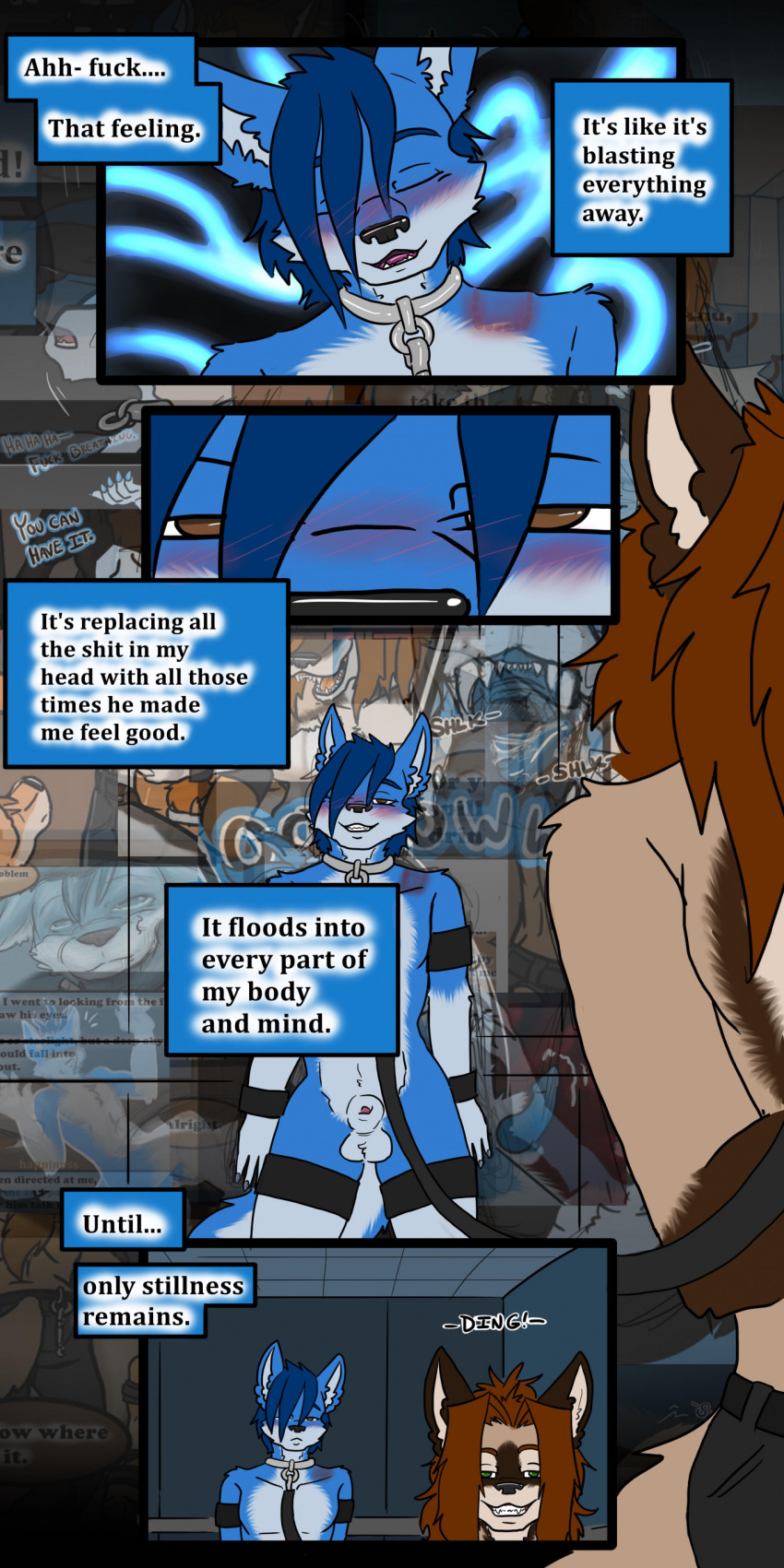 absurd_res anthro bite bite_mark blue_body blue_fur blue_hair blush blush_lines bottomwear brown_eyes brown_hair canid canine canis clothing cobalt_(tatsuchan18) collar collar_ring comic cuffs_(clothing) dialogue duo english_text flashback fox fur green_eyes hair hi_res hybrid inner_monologue leash male malesub mammal metal_collar pants shoulder_bite slave spade_(tatsuchan18) speech_bubble submissive_male tatsuchan18 teeth_showing text wolf