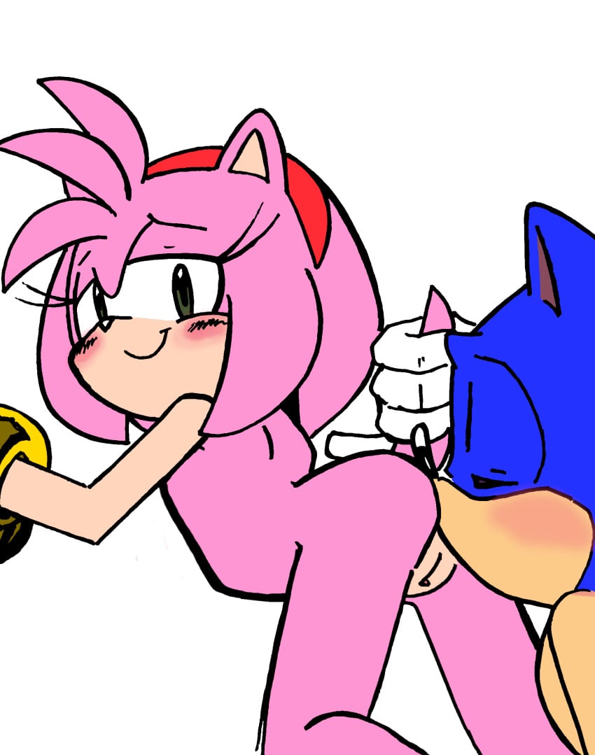Amy Rose (Sega) Rule 34 Image