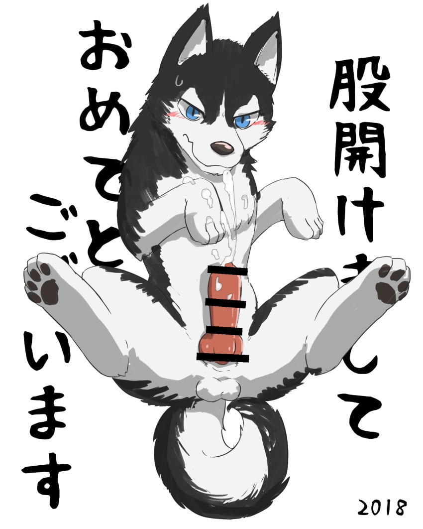 black_fur blue_eyes blush canine censored cum cum_on_penis cum_on_self erection feral fur japanese_text looking_at_viewer male male_only mammal manoreo penis simple_background solo text white_background white_fur