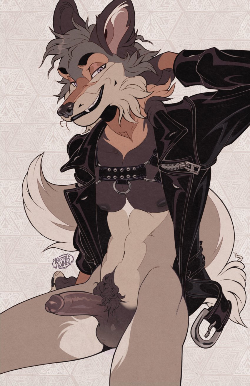 abs anthro athletic athletic_anthro athletic_male balls bedroom_eyes bottomless bottomless_anthro bottomless_male brown_body brown_fur canid canine canis cheek_tuft clothed clothing coyote erection facial_tuft fangs fur genitals grey_hair hair half-closed_eyes harness hi_res humanoid_genitalia humanoid_penis jacket leather leather_clothing leather_jacket leather_topwear lips male mammal muscle_tone narrowed_eyes neck_tuft open_clothing open_jacket open_topwear pecs penis pubes seductive simple_background smile smirk smug smug_face smug_grin solo tan_body tan_fur teeth terribleanimal thick_bottom_lip topwear tuft white_background