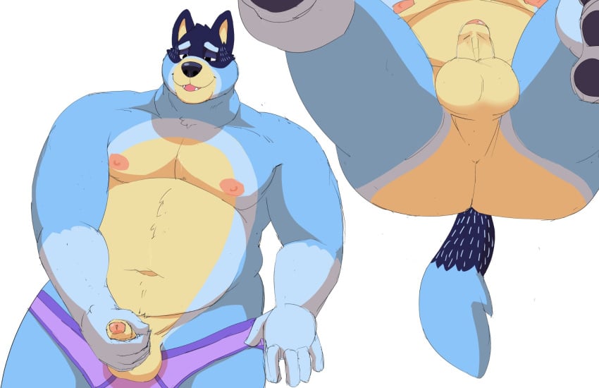 2022 5_fingers anthro areola ass australian_cattle_dog balls bandit_heeler biped blue_body blue_fur blue_tail bluey_(series) bottom_view briefs canid canine canis cattledog clothed clothing daire301 digital_media_(artwork) dipstick_tail domestic_dog erection fingers foreskin fur fur_markings genitals glans herding_dog hi_res hindpaw humanoid_genitalia humanoid_penis male male_focus mammal markings masturbation multiple_images nipples nude pastoral_dog pawpads paws penile penile_masturbation penis purple_briefs purple_clothing purple_underwear smile solo tail tail_markings topless underwear