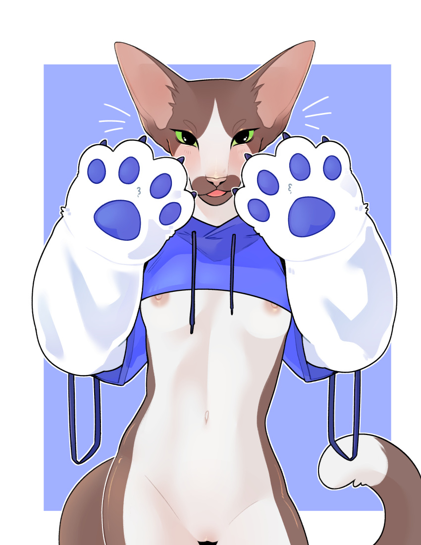 absurd_res anthro ayannzer bolero_top bottomless breasts clothed clothing domestic_cat felid feline felis female hi_res mammal navel nipples organs oriental_shorthair partially_clothed pawpads paws slim small_breasts solo stomach sweater topwear topwear_only under_boob