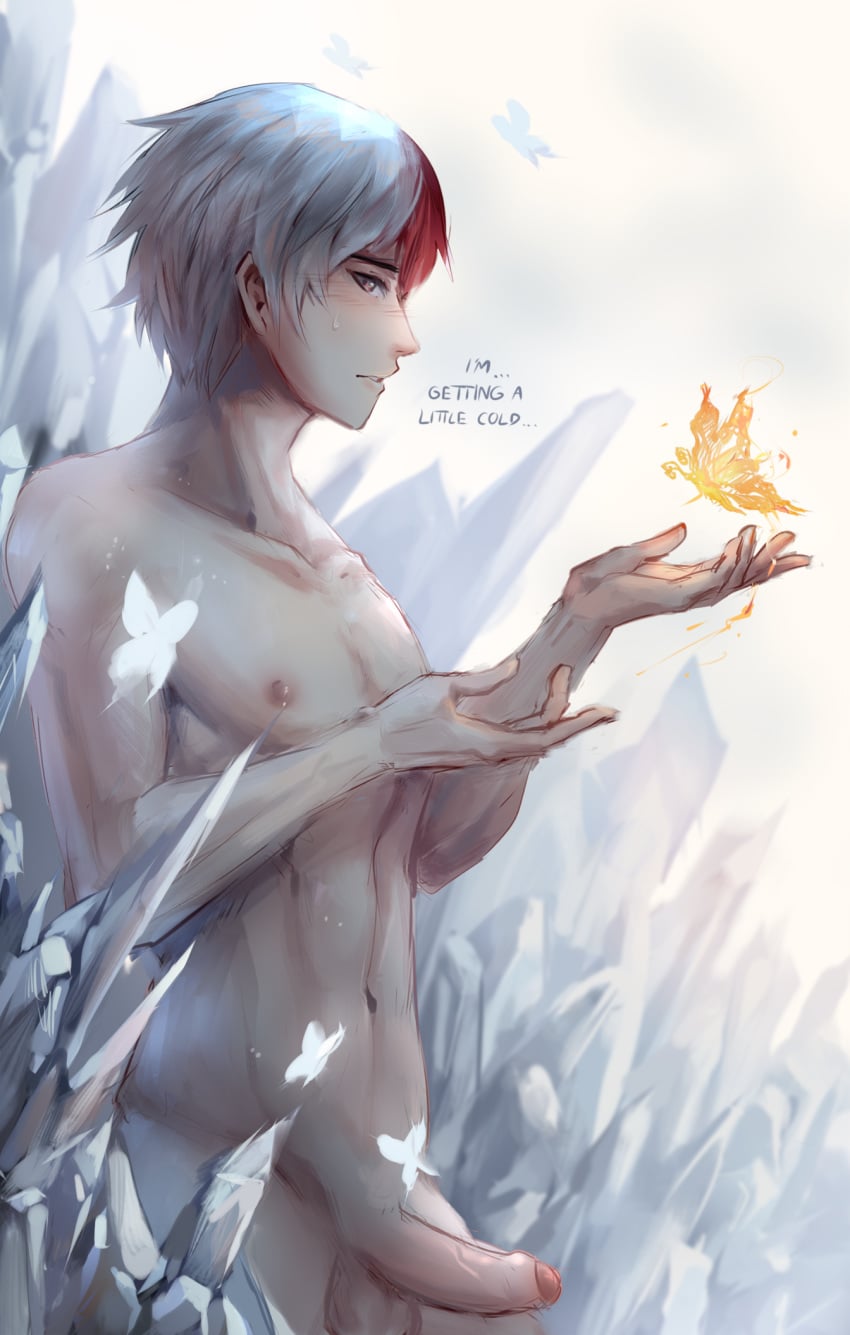 Shouto Todoroki (My Hero Academia) Rule 34 Image