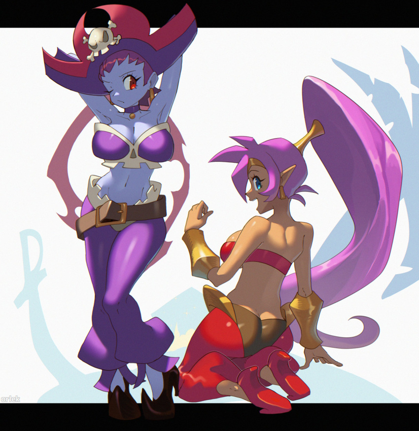 Risky Boots (Shantae) Rule 34 Image