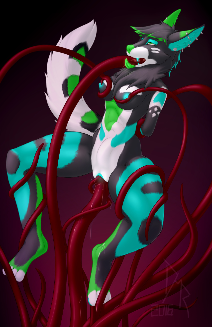 2016 absurd_res anthro blue_nipples blue_pussy bound breasts canine deep_penetration digital_media_(artwork) ear_piercing female fur furshit green_eyes green_nose green_tongue hair hi_res industrial_piercing looking_up mammal multicolored_fur nipples oral oral_penetration penetration piercing pussy solo stomach_bulge tentacle toeless_(marking) tongue tongue_out vaginal_penetration vaginal_penetration