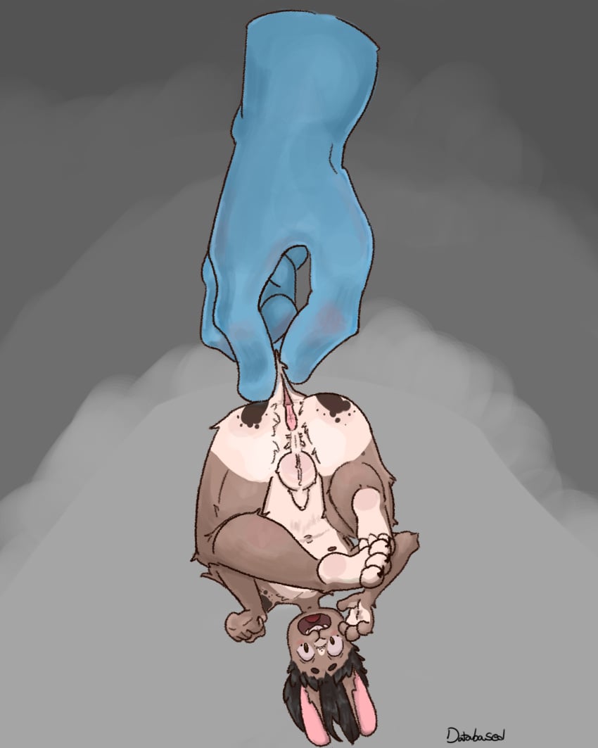 4:5 absurd_res anthro ass big_butt blue_hand buckteeth dangling databased floating_hand fur genitals hi_res male markings penis simple_background small_penis solo spots spotted_body spotted_fur teeth upside-down