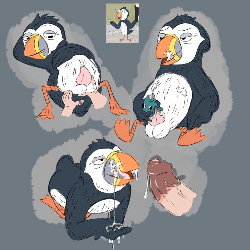 2018 anthro avian balls bird bob-jiggles cum erection first_porn_of_franchise hi_res male male_only open_mouth penis puffin simple_background smile solo tongue wishfart