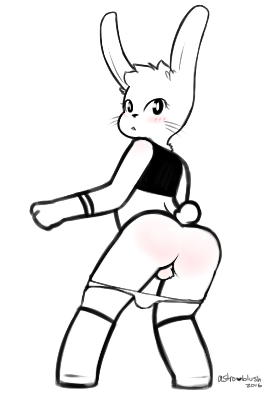 2016 anthro ass astroblush backsack balls blush clothing femboy girly hi_res lagomorph legwear looking_back male mammal panties rabbit simple_background solo stockings underwear whiskers