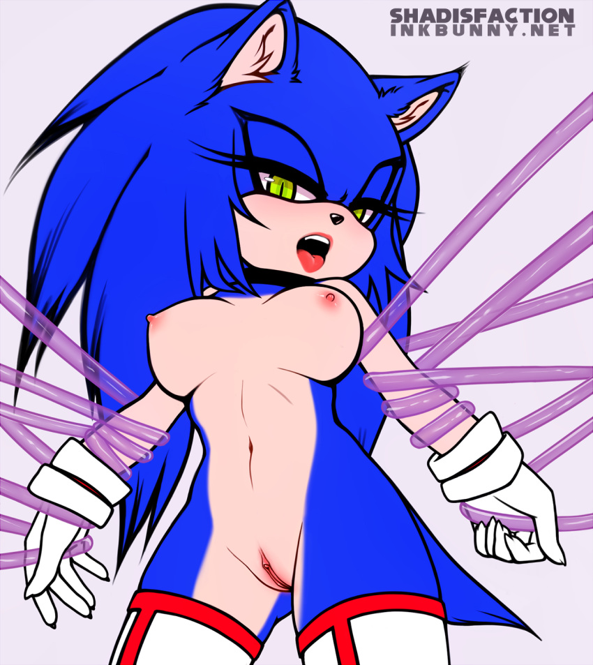 ass blue_fur boots breasts claws clitoris clothing collar ear_tuft exposed_torso female footwear fur genderswap gloves green_eyes handwear hedgehog humanoid looking_at_viewer mammal nipples nude open_maw pussy rubber rule_63 shadisfaction short_tail solo sonic_(series) sonic_the_hedgehog sonique_the_hedgehog spandex teeth tentacle thick_thighs tight_clothing tongue tuft