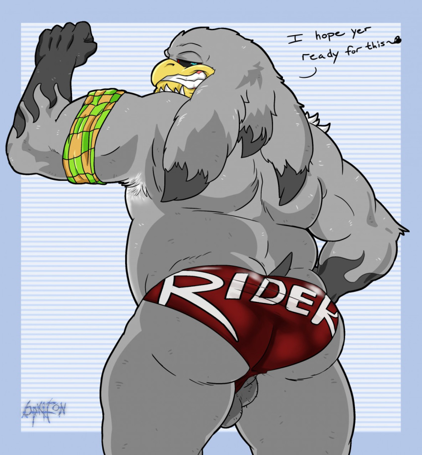 2016 6pklion albatross anthro armband ass avian balls barazoku beak bedroom_eyes biceps bird black_sclera blue_eyes body_hair clothed clothing digital_media_(artwork) english_text feathers flexing hairy_balls half-closed_eyes looking_at_viewer looking_back male male_only manly mostly_nude muscular muscular_male pose pubes rear_view seductive signature simple_background smile solo sonic_(series) sonic_riders speedo standing storm_the_albatross swimsuit teeth text thick_thighs topless video_games wardrobe_malfunction