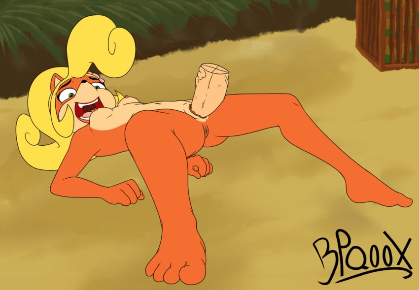 animated anthro anus bandicoot bpq00x coco_bandicoot crash_(series) disembodied_penis duo erection female human humanoid_penis male mammal marsupial nude penetration penis pussy sex straight vaginal_penetration vein video_games