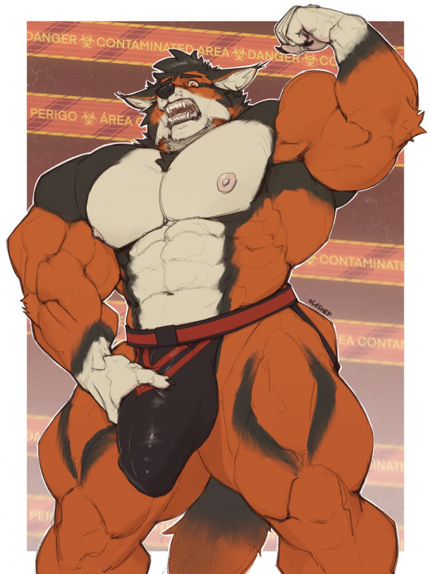 Armbands (Marking) Rule 34 Image