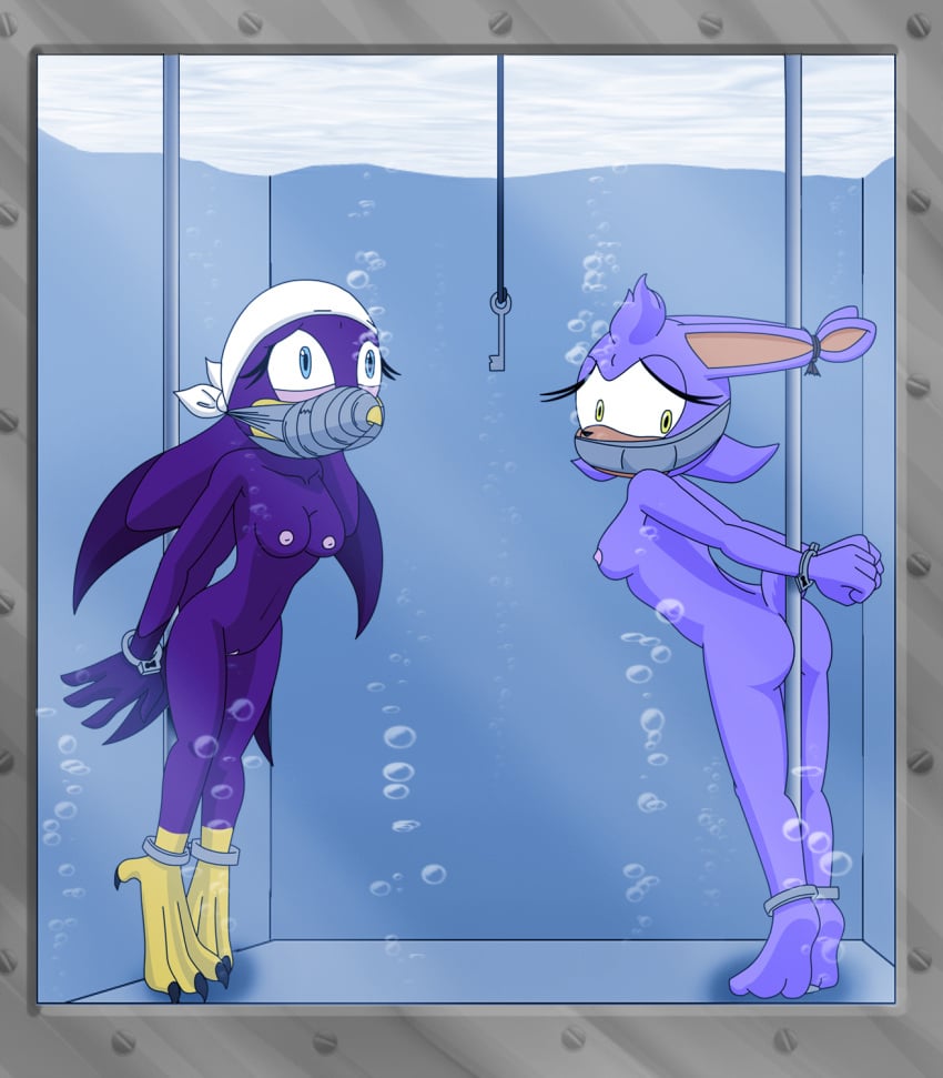 2girls air_bubbles anthro asphyxiation ass avian barefoot beak bird bondage breasts bubbles clawed_feet claws cuffed cuffed_ankles darksonic250 drowning feet female female_only furry gag gagged handcuffed handcuffed_to_pole handcuffs hands_behind_back headband key medium_breasts navel nipples nude original_character peril pole pole_tied pussy rabbit sega sideboob sonic_(series) sonic_the_hedgehog_(series) swallow_(bird) tape taped_mouth tied_ears torture trapped underwater uwfan-tomson water water_tank water_torture wave_the_swallow