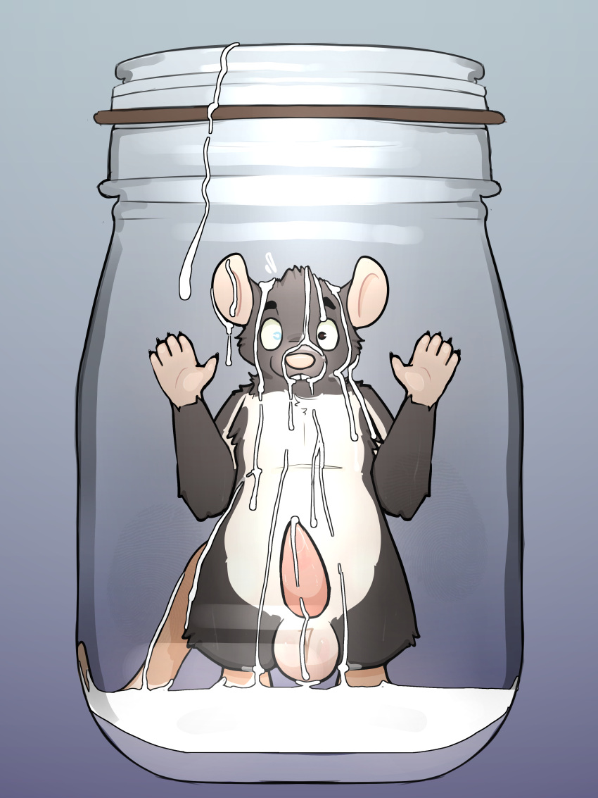 absurd_res anthro balls bodily_fluids container cum cum_drip cum_in_container cum_in_jar cum_on_face cum_on_penis dripping erection fur genital_fluids genitals grey_body hi_res jar looking_at_viewer male male_only mammal milk_(rodentmilk) murid murine penis rat rodent solo spyromancer surprised_expression tail