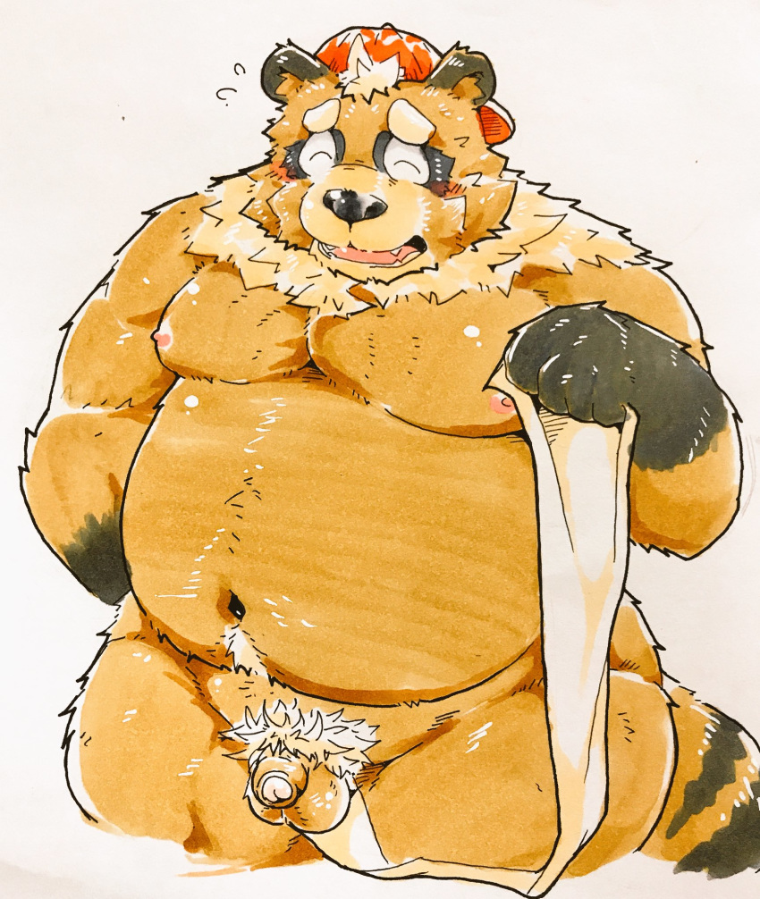 1boy 2017 anthro balls belly blush brown_fur canine closed_eyes fur hat male male_only mammal moobs nipples overweight overweight_male penis simple_background solo suishou0602 tanuki white_background