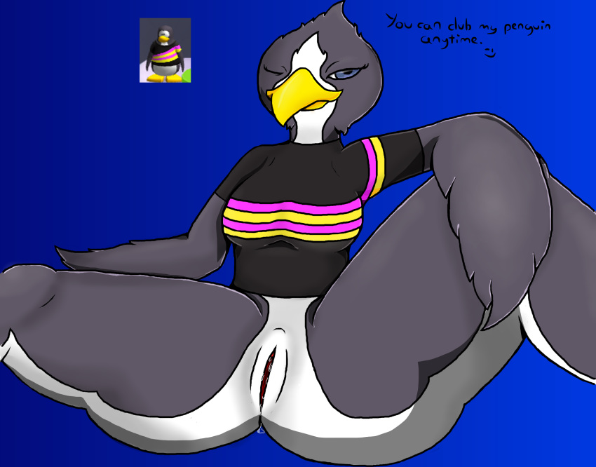 1girls 2018 avian beak bird black_shirt blue_background blue_eyes breasts club_penguin club_penguin_island digital_media_(artwork) disney dripping dripping_pussy english_text eyelashes female female_only furry furry_only giratina_(artist) gradient_background gray_feathers grey_feathers legs multicolored_stripes penguin presenting_pussy pussy simple_background solo solo_focus striped_shirt tagme wet_pussy white_feathers wings yellow_beak