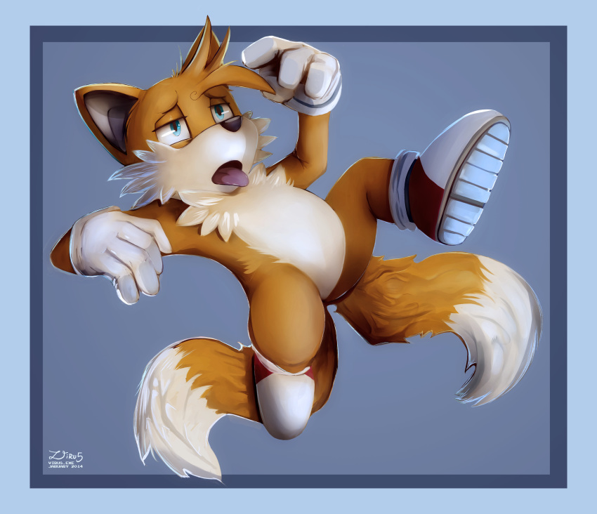 anthro canine fox fur gloves high_resolution male male_only mammal penis sega solo sonic_(series) tails virus.exe