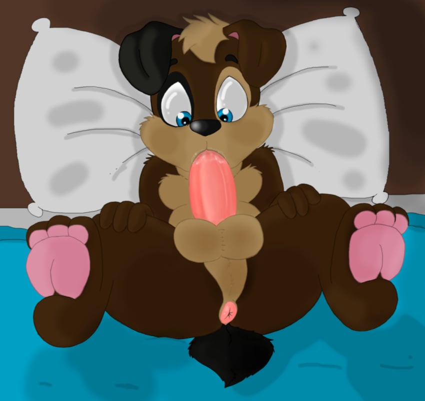 absurd_res anthro anus autofellatio balls bed blue_eyes brown_fur canine floppy_ears fur hi_res k-9 male male_only mammal masturbation ollie on_bed oral pencilneck penis puffy_anus solo spread_legs spreading