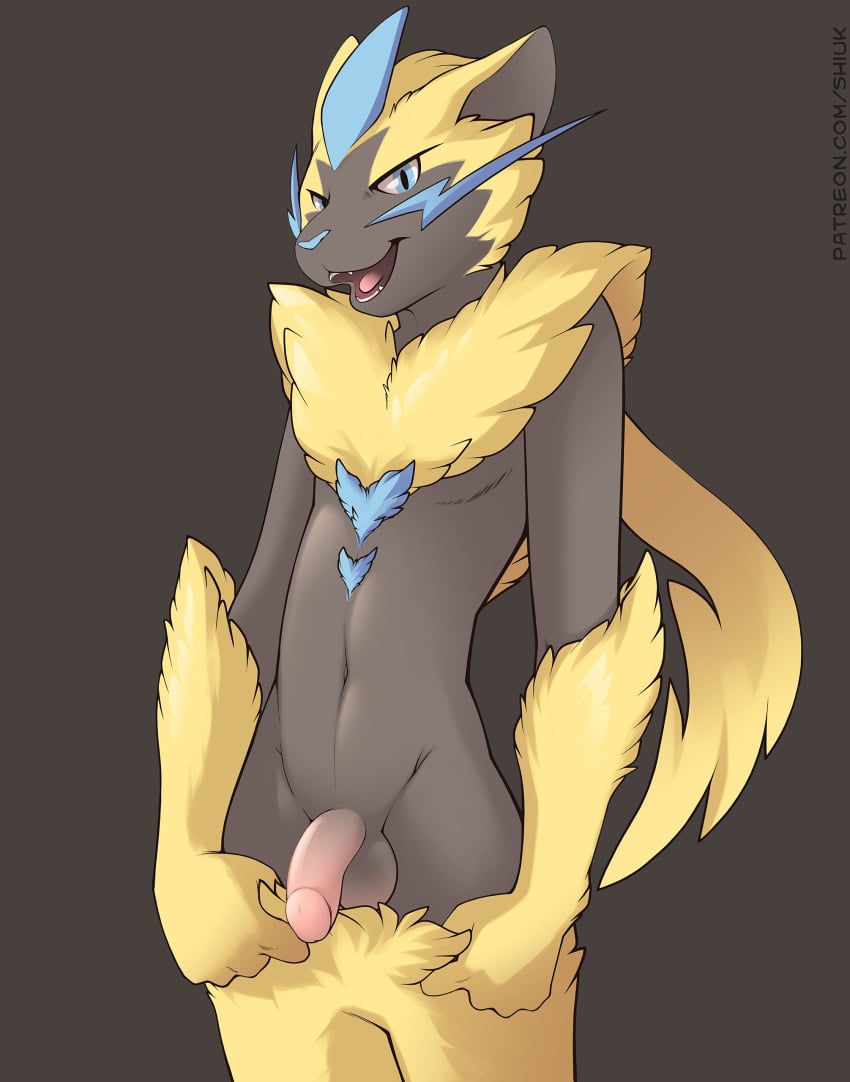 1boy anthro belly black_fur blue_eyes blue_fur chest_tuft clothing fangs feline flaccid fur furry grey_background half-closed_eyes humanoid_penis legendary_pokémon looking_at_viewer male male_only male_zeraora mammal navel nintendo no_nipples nude open_mouth pants patreon penis pokémon_(species) pokemon pokemon_usm shiuk simple_background smile solo solo_male standing teeth testicles text thin_waist tongue tuft undressing url video_games watermark whiskers yellow_fur zeraora