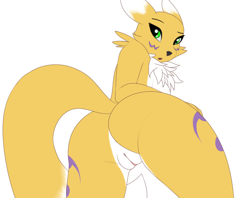 anthro ass blue_eyes booponies breasts digimon female looking_back mammal presenting pussy renamon sideboob simple_background solo white_background