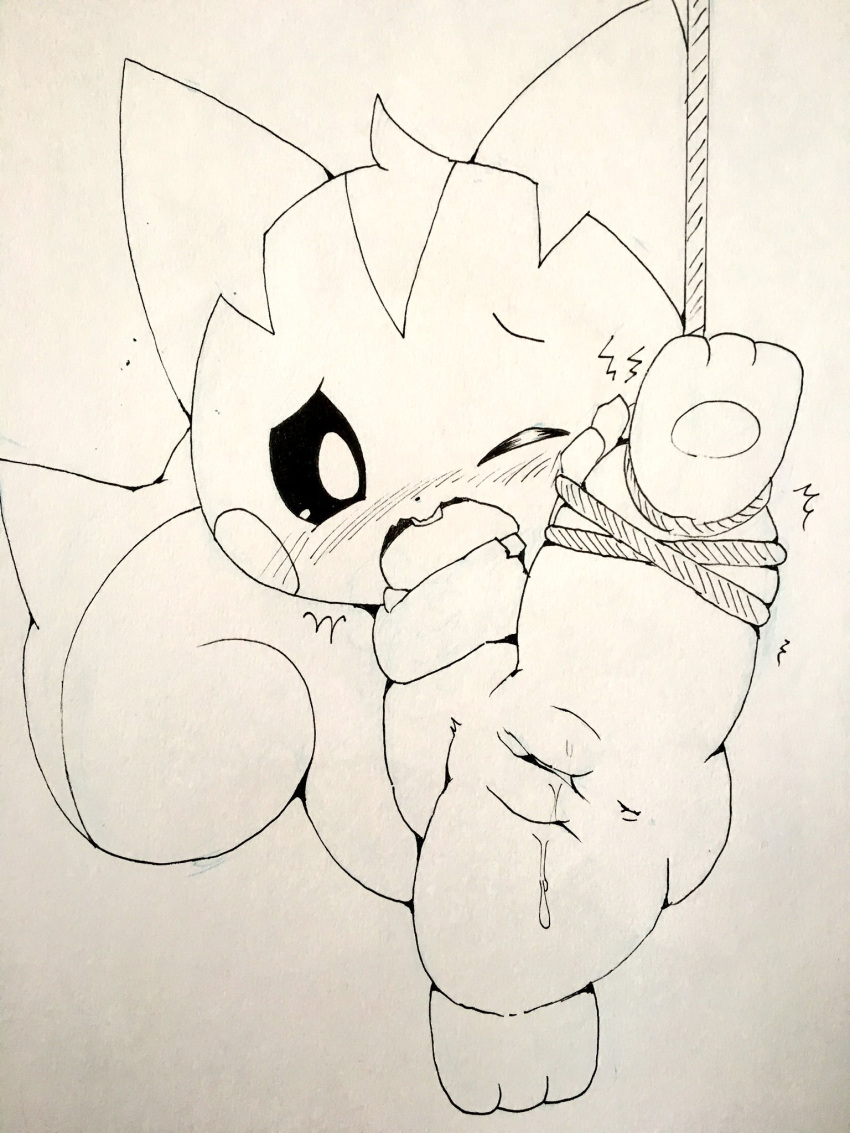 1girls 2017 3_toes anus ass belly big_ears big_tail black_eyes blush bondage buckteeth female female_only furry leaking leg_up looking_at_viewer monochrome nintendo nude one_eye_closed open_mouth pachirisu pawpads paws pokémon_(species) pokemon pokemon_dppt pussy pussy_juice rope simple_background sketch solo spread_legs squirrel suspension tail tatwuyan tongue trembling video_games wet white_background