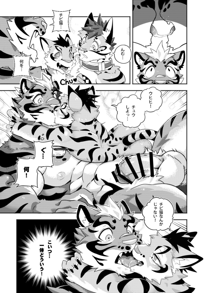 2018 anthro balls censored clouded_leopard comic erection feline japanese_text kissing kumak71395 leopard leopard_cat likulau lin_hu male male_only mammal nekojishi nude penis shu-chi text tiger translation_request