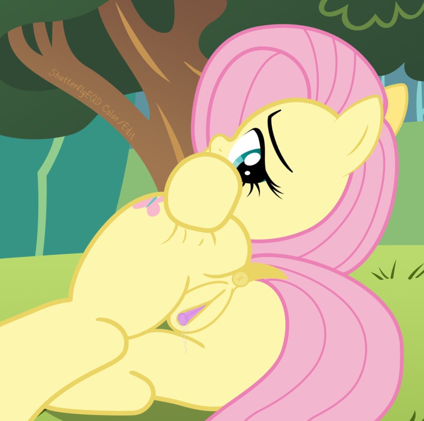 2015 anus ass butt_grab clitoris cutie_mark equine female feral fluttershy_(mlp) friendship_is_magic hair hand_on_butt hi_res horse looking_at_viewer looking_back mammal my_little_pony outside pink_hair pony presenting presenting_hindquarters pussy shutterflyeqd solo