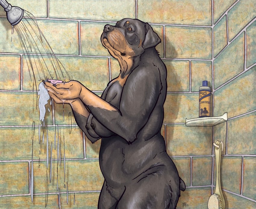 2022 anthro bath_brush bathing black_body black_fur black_nipples breasts brown_body brown_eyes brown_fur brush candid canid canine canis claws digital_media_(artwork) digital_painting_(artwork) docked_tail domestic_dog female fur guida_(mulefoot) inside mammal mastiff molosser mulefoot multicolored_body nipples nude nude_anthro pubic_mound rottweiler shaded shampoo_bottle shelf short_tail shower shower_head showering side_view soap soap_bar solo tail tile tile_wall two_tone_body wall_(structure) water whisker_spots whiskers