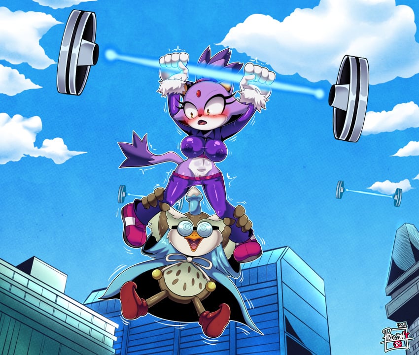 big_breasts blaze_the_cat commission furry mobian_(species) old_male owl pervert procyon&#039;t shortstack sonic_(series) sonic_the_hedgehog_(series)