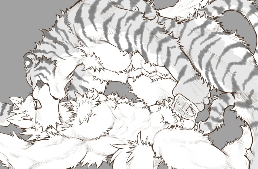 2018 2boys abs absurd_res anthro bed biceps canine eyewear feline fur gay glasses hi_res kemono kissing male male_only mammal muscular muscular_male nude pecs simple_background sketch tiger tupidwithouts yaoi