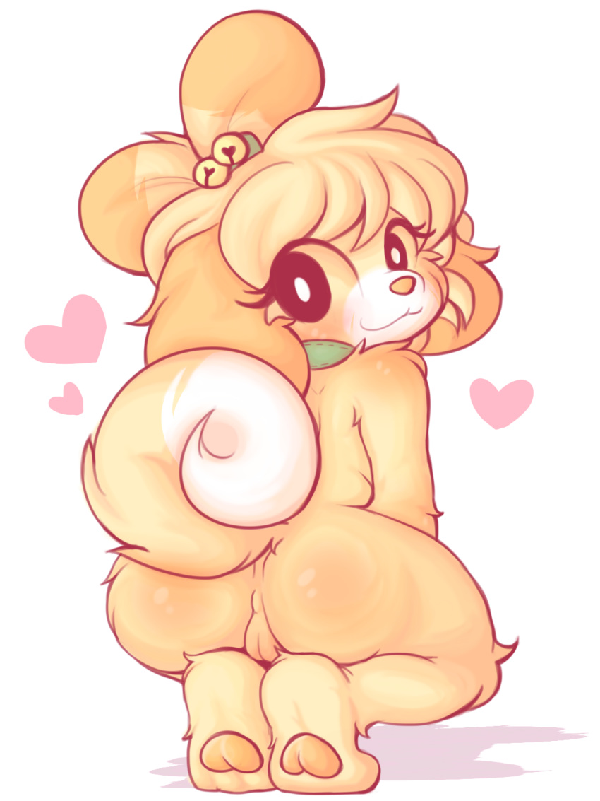 <3 2018 animal_crossing anthro ass blonde_hair canid canine canis crouching female female_only fur furry furry_only hair heart hi_res isabelle_(animal_crossing) looking_at_viewer looking_back mammal naked nintendo nude pussy shih_tzu shortstack simple_background smile solo solo_female sweaterz tail video_games white_background