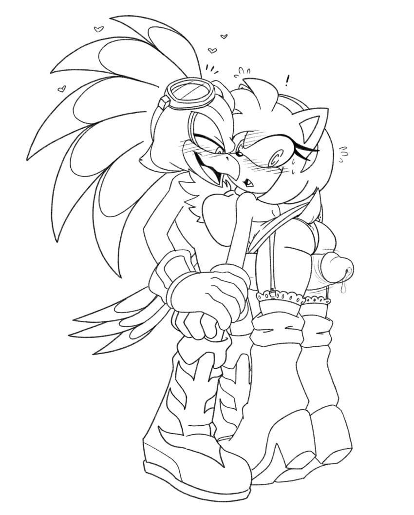 Amy Rose (Sega) Rule 34 Image