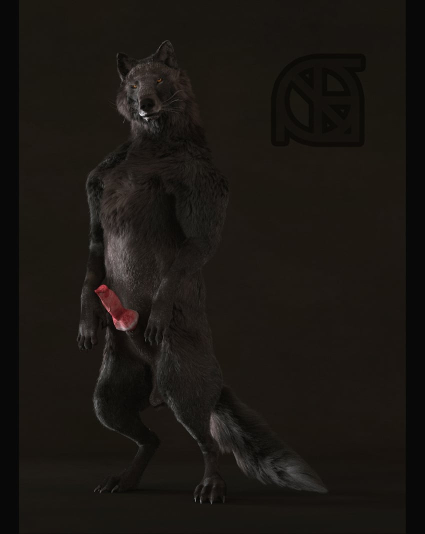 3d animal_genitalia animal_penis anthro balls black_fur black_nose canid canine canine_penis canis claws cosmiclife erection feet feral fur hi_res knot looking_at_viewer male male_only mammal paws penis pinup pose realistic romeo_(cosmiclife) semi-anthro sheath solo standing whiskers wolf yellow_eyes