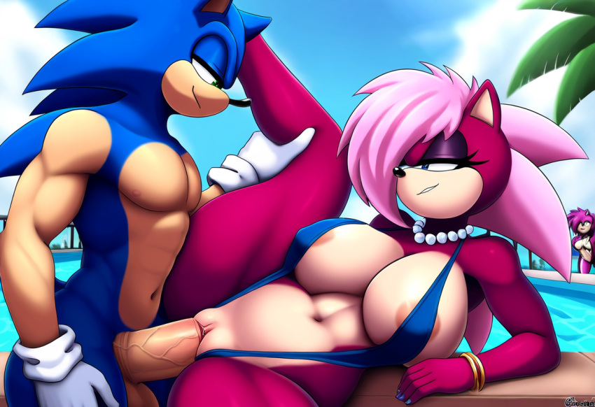 Sonic The Hedgehog Henti