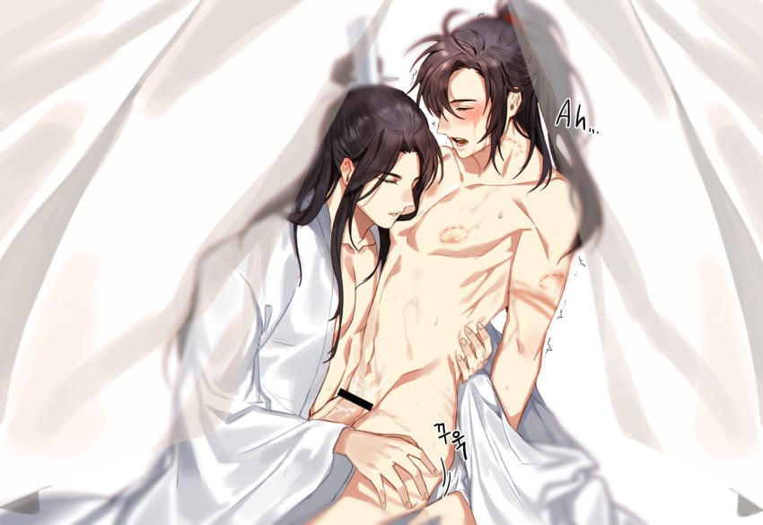 Lan Wangji Rule 34 Image