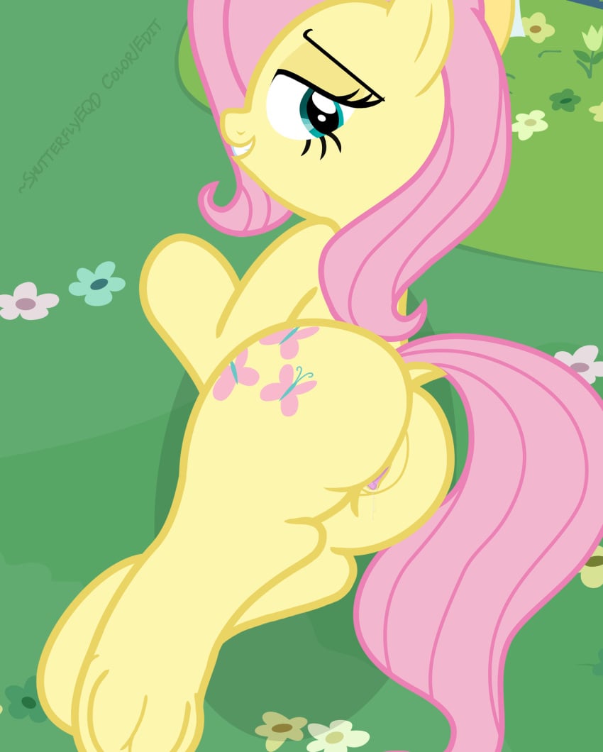 2015 ass equine female feral fluttershy_(mlp) friendship_is_magic hi_res horse mammal my_little_pony pony pussy shutterflyeqd solo