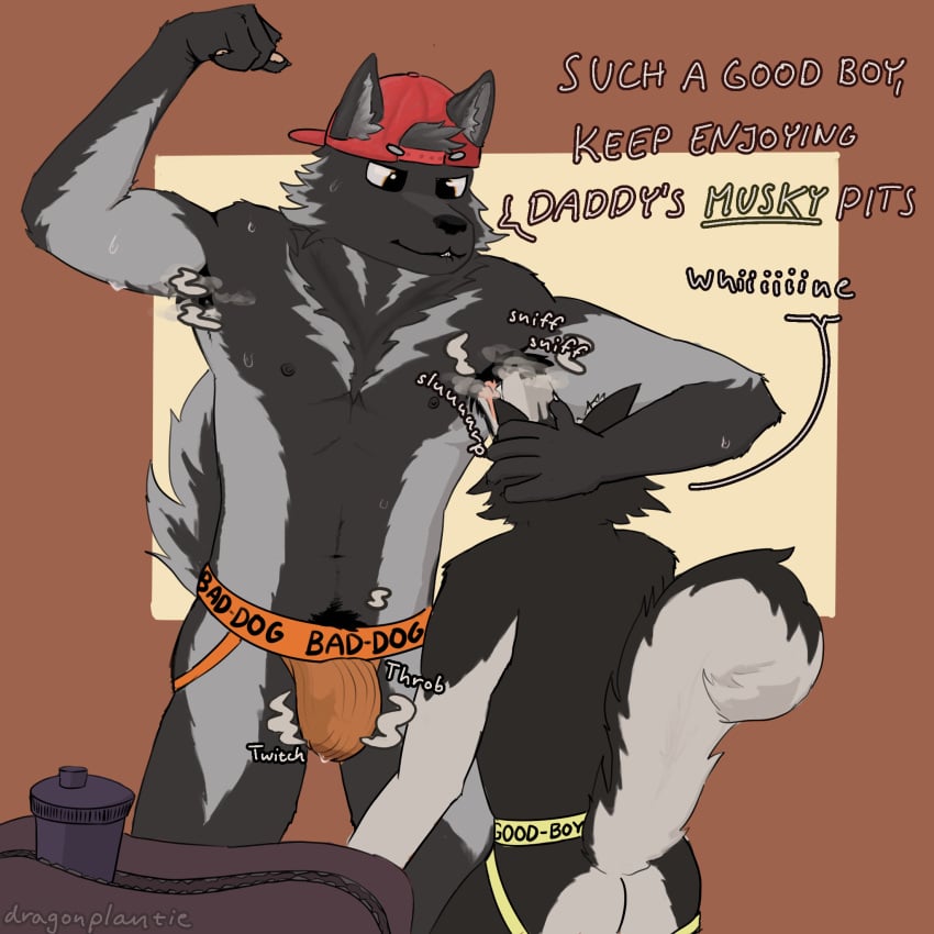 after_exercise anthro armpit_fetish armpit_hair armpit_lick armpit_play armpit_sniffing black_body black_fur bodily_fluids body_hair bulge canid canine canis clothing domestic_dog dominant dominant_male dragonplantie duo flexing fur genital_fluids gym happy_trail hat headgear headwear hi_res husky jockstrap leaking_precum leaking_through_clothing licking male male/male mammal multicolored_body multicolored_fur muscular muscular_anthro muscular_male musk musk_clouds nipples nordic_sled_dog praise precum pubes sniffing spitz stained_underwear sweat text tongue tongue_out two_tone_body two_tone_fur underwear whining wolf