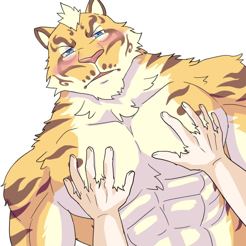 abs animated anthro barazoku biceps blue_eyes blush close-up feline fur hand_on_chest human lin_hu looking_at_viewer male male_only mammal manly muscular nekojishi nude open_mouth pec_squeeze pecs solo_focus tiger triceps video_games weedwolf