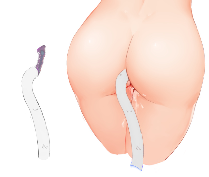 anal anal_object_insertion ass ass_focus buttplug buttplug_tail cat_tail copyright_request cropped_legs fake_tail female kisei2 lower_body object_insertion simple_background solo tail thigh_gap thighs white_background