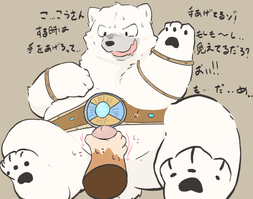 2019 anthro bashmaster bashmaster_the_unbreakable belly blush bodily_fluids donkey_kong_(series) fur handjob japanese_text male male_only mammal nintendo penile polar_bear sex simple_background sitting slightly_chubby snowmads sweat text tinntira ursid ursine video_games white_body white_fur