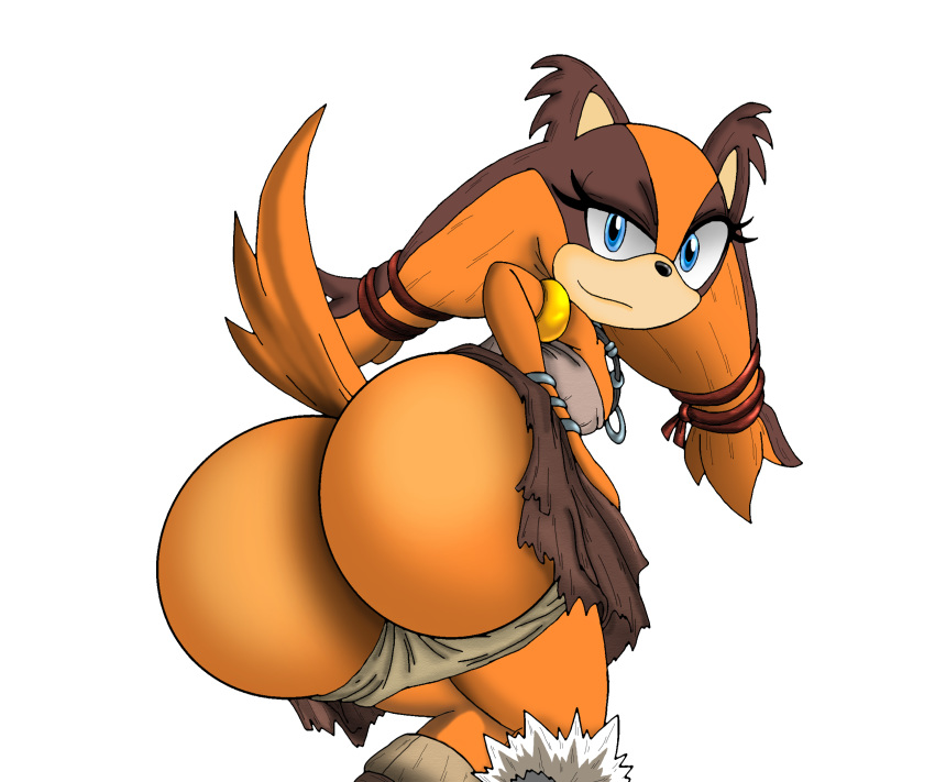 Sticks The Badger (Sonic (Series)) Rule 34 Image