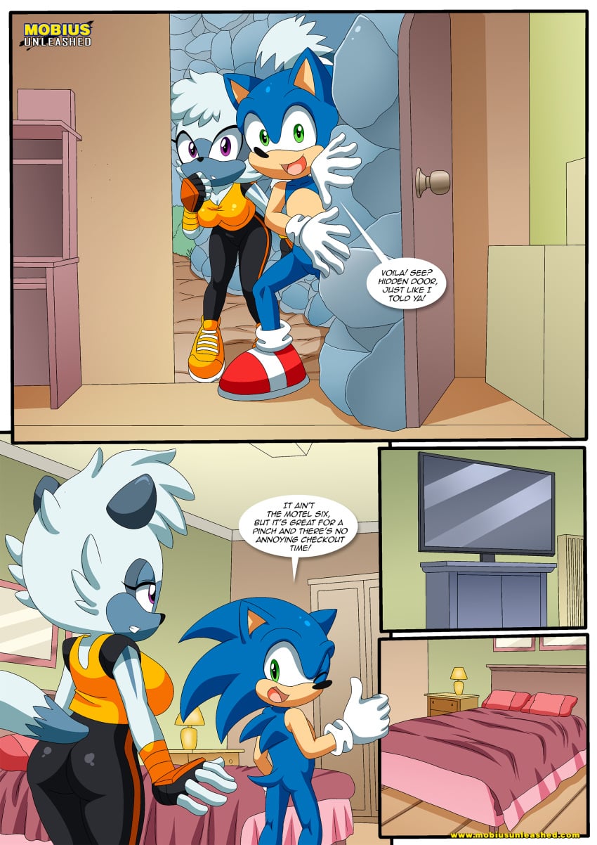 Sonic The Hedgehog (Sega) Rule 34 Image