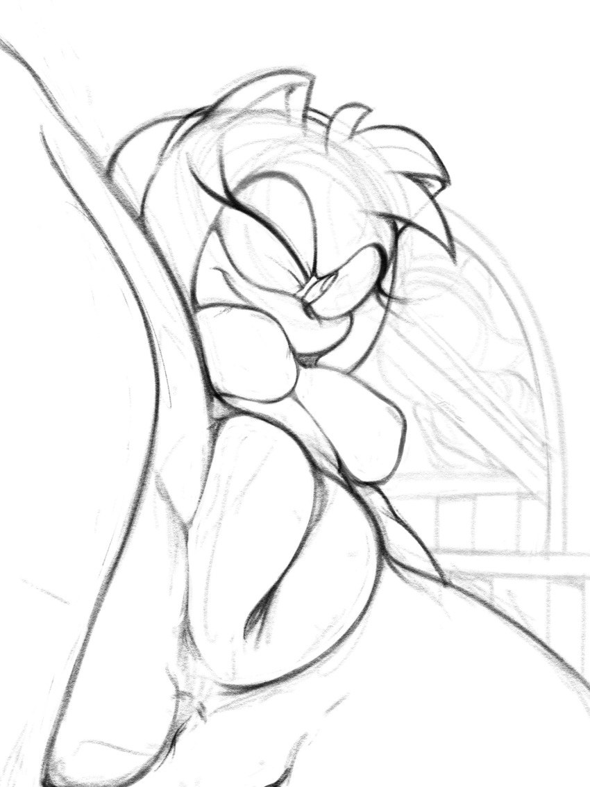 amy_rose breasts close-up female furry nude nude_female puffy_pussy pussy sega sketch smile sonic_(series) wink winking_at_viewer zframe