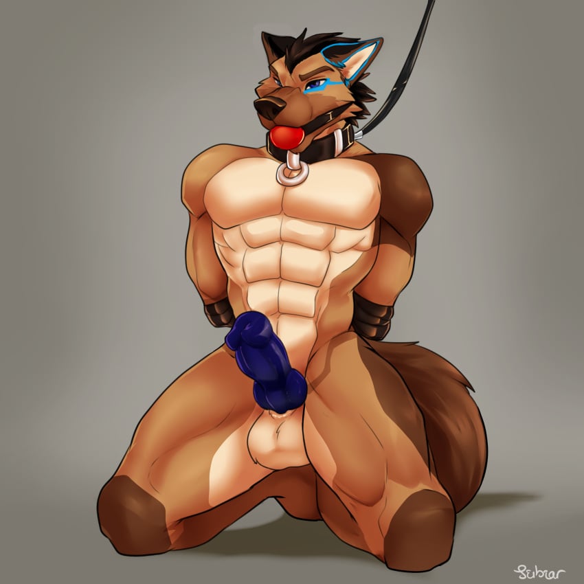 abs anthro ball_gag balls bondage bound canine collar edan_braveblitz erection gag german_shepherd kneeling knot leash male male_only mammal muscular muscular_male nude penis scar seibear solo