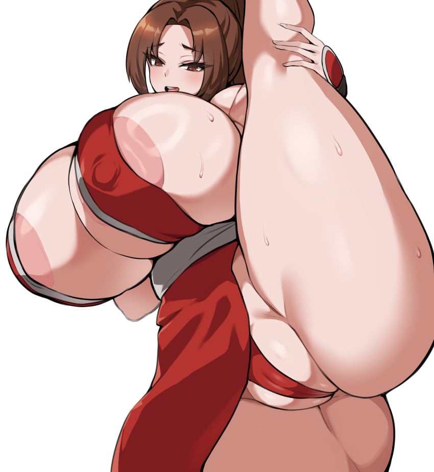 1girls areola ass barely_clothed big_areola big_ass big_breasts big_nipples big_thighs blush breasts brown_eyes brown_hair dead_or_alive fatal_fury female female_focus female_only gigantic_ass gigantic_breasts gigantic_thighs holding_leg huge_areola huge_ass huge_breasts huge_nipples huge_thighs king_of_fighters leg_up long_hair mai_shiranui nipples ponytail pussy snk solo street_fighter sweat sweatdrop sweating thick_hips thick_thighs thighs tiger_drop