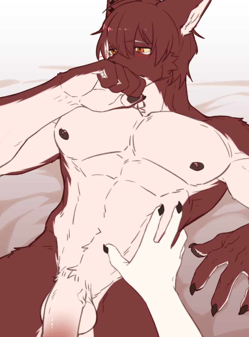 absurd_res anthro balls bed blush canid canine canis claws domestic_dog dtrreuaem duo ear_piercing finger_claws fur furniture genitals hi_res humanoid_genitalia kemono male mammal multicolored_body multicolored_fur muscular muscular_anthro muscular_male nipples nude nude_anthro nude_male on_bed pecs penis petting piercing pointy_ears solo_focus two_tone_body two_tone_fur