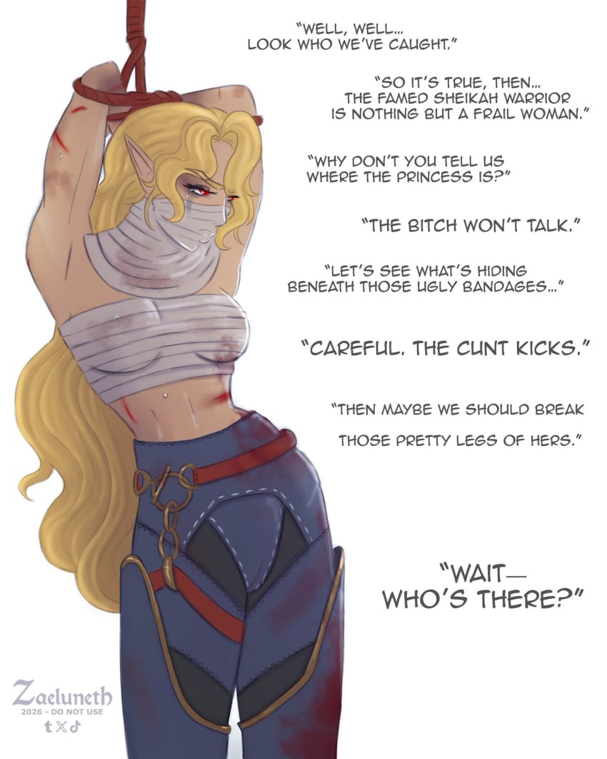 Sheik (Nintendo) Rule 34 Image