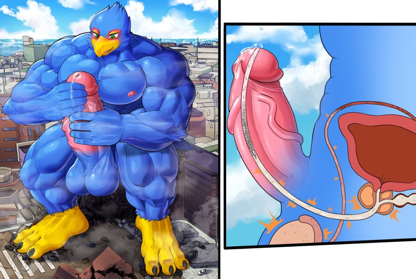 abs absurd_res anthro avian balls beak biceps big_muscles bird blue_body blue_feathers blush bodily_fluids building city cock_vore cross_section cum digital_media_(artwork) erection falco_lombardi feathers furry genital_fluids genitals hi_res huge_muscles inside_penis internal macro male masturbation mayar multiple_prey muscular muscular_male nintendo penile penis precum prostate prostate_stimulation sitting sitting_on_building solo star_fox urethra vore